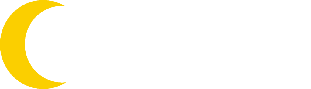 Diginius Logo white_no strapline